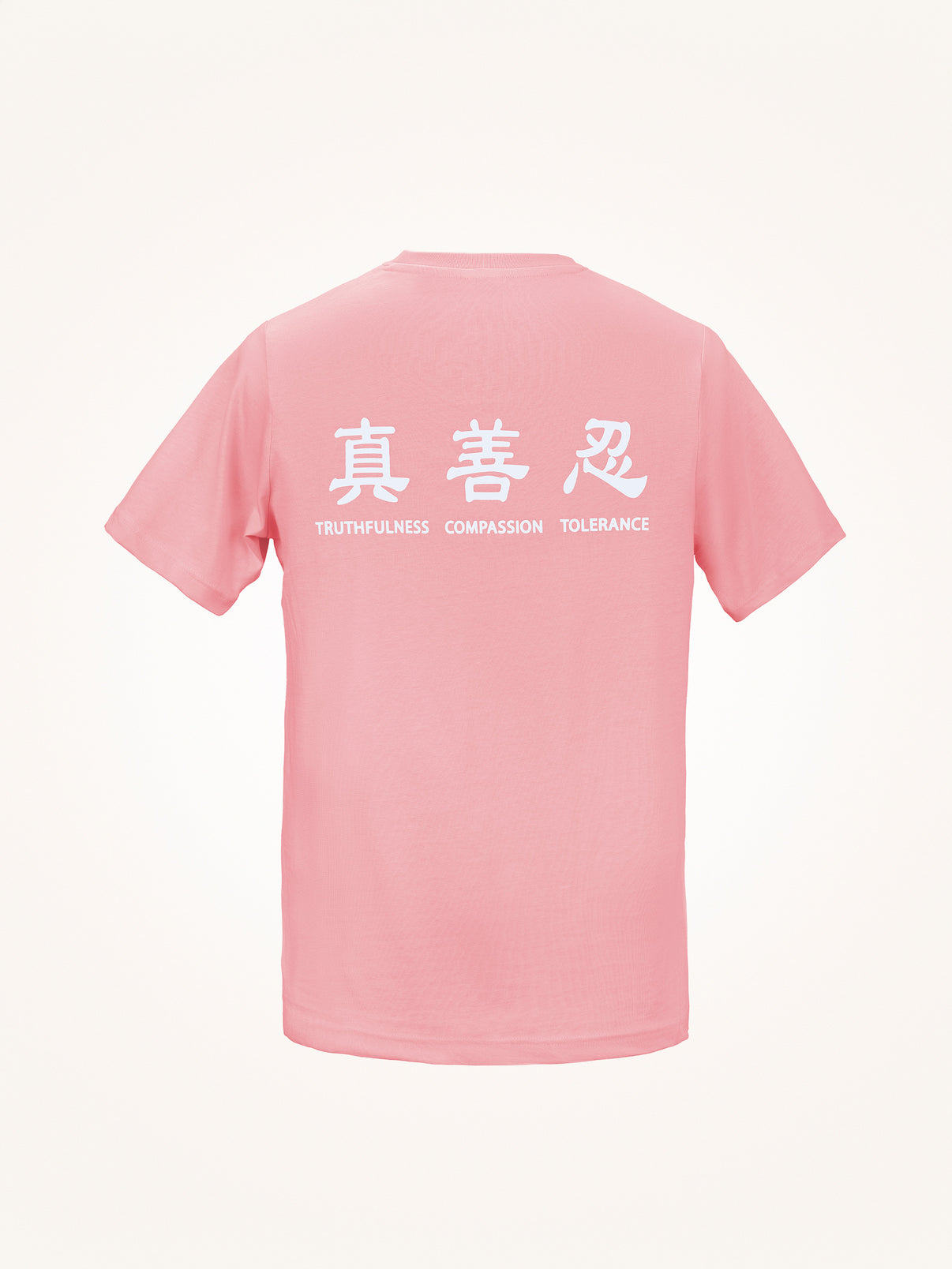 Truthfulness, Compassion, Tolerance T-Shirt (2023-2)