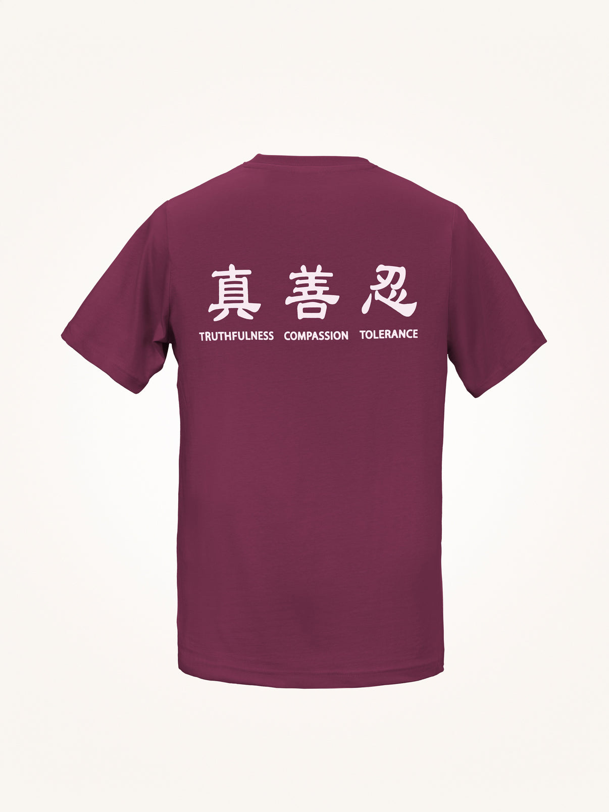 Truthfulness, Compassion, Tolerance T-Shirt (2023-2)