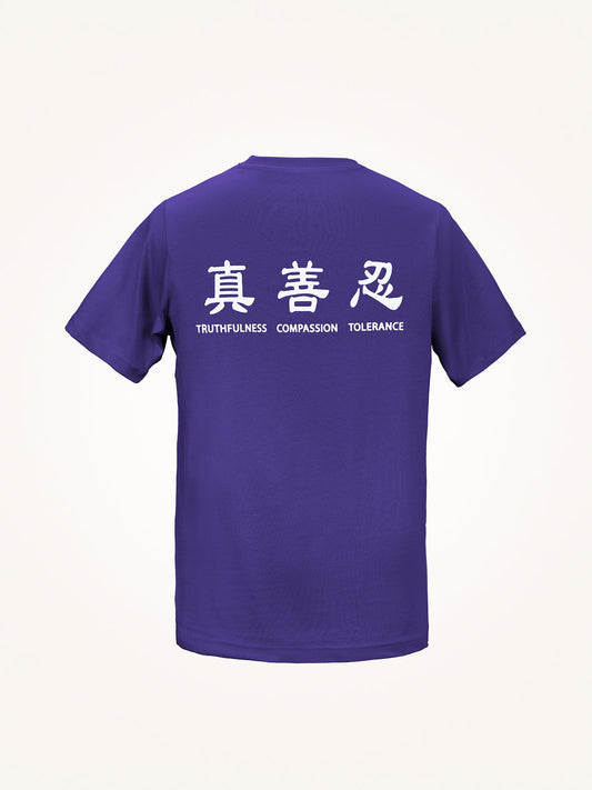 Truthfulness, Compassion, Tolerance T-Shirt
