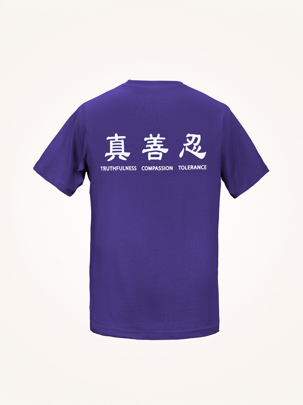 Truthfulness, Compassion, Tolerance T-Shirt