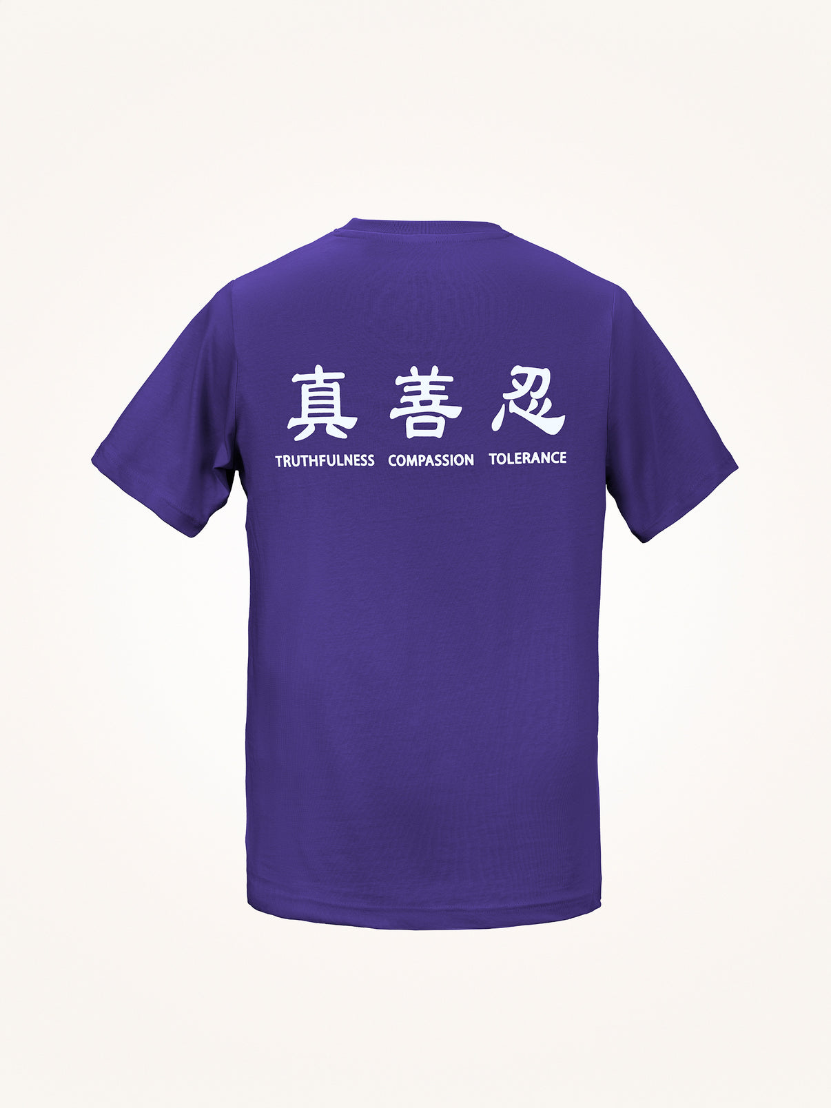 Truthfulness, Compassion, Tolerance T-Shirt