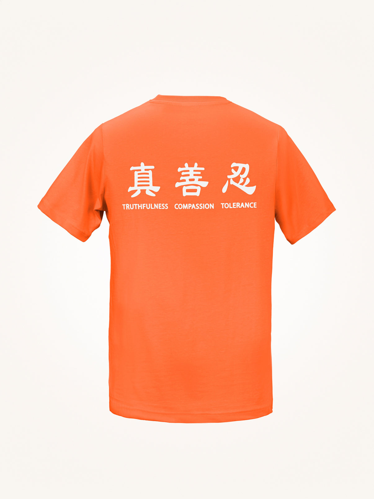 Truthfulness, Compassion, Tolerance T-Shirt (2023-2)